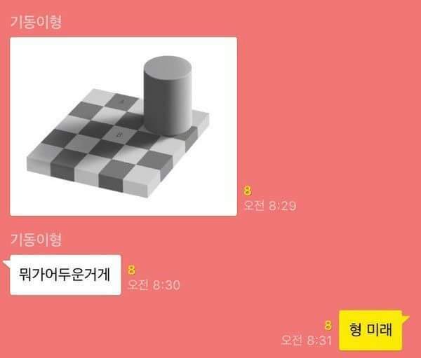 착시현상 레전드 | 인스티즈