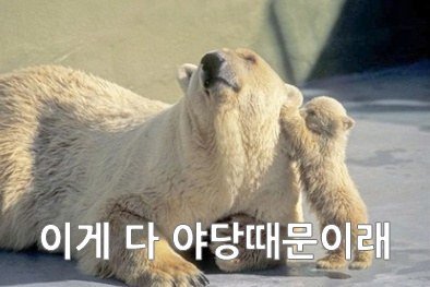 이게 전부 야당 때문이다!+자한당 때문이다!+언론(조중동한경오)때문이다!+짤 추가 | 인스티즈