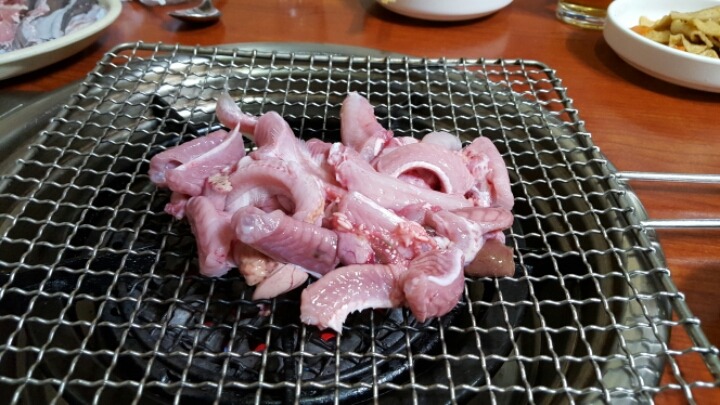 바다속친구들 이미지