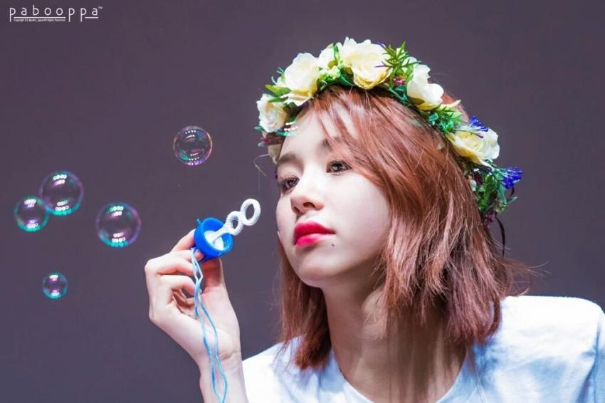 손채영.gif+jyp (데이터주의) | 인스티즈