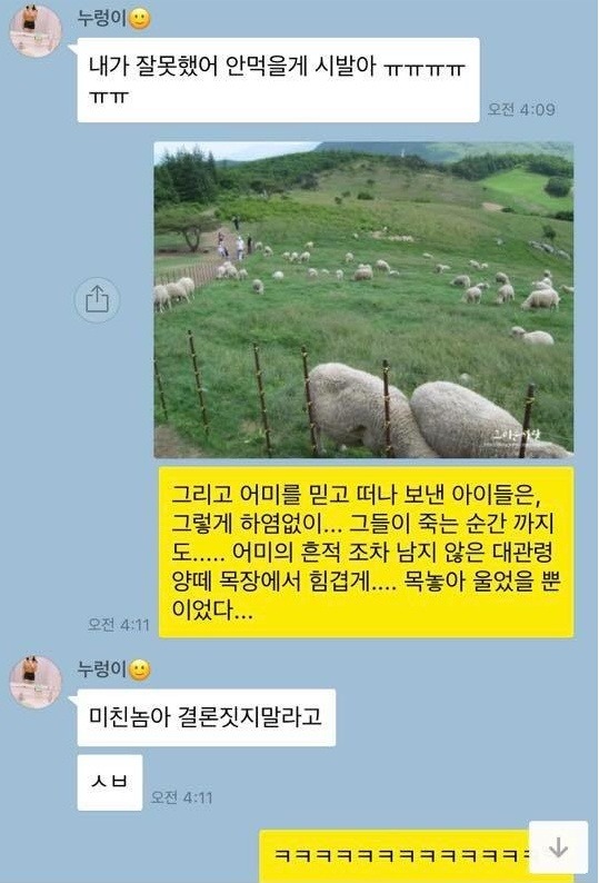 이게 진정한 친구지.jpg | 인스티즈