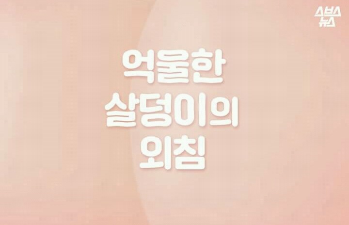 억울한 살덩이의 외침 (궁둥이와 엉덩이) | 인스티즈