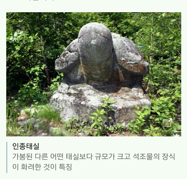 [한국사이야기] 효심 가득한 어진 임금 : 인종 | 인스티즈