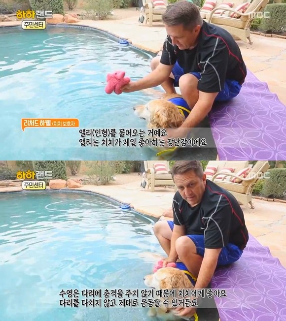 [사진/움짤多] 동물 학대의 현실 & 네 다리가 없는 치치 이야기 | 인스티즈
