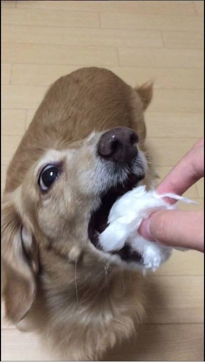 천국의 맛 | 인스티즈