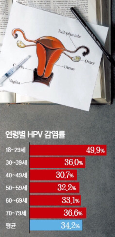 자궁경부암 제대로 알고 건강한 섹스하자 | 인스티즈