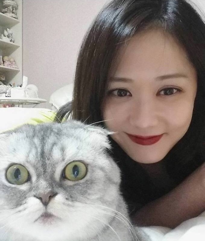 장나라 고양이 | 인스티즈