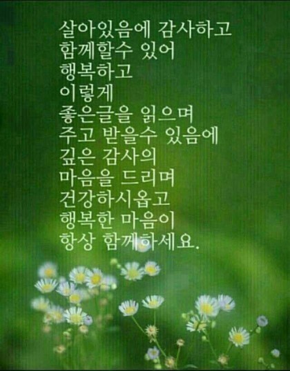 상상화로 이미지