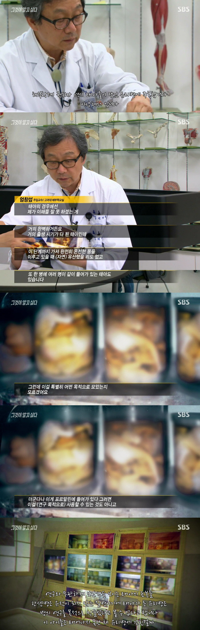 [그것이알고싶다] 열네 개 유리병의 증언 - 나는 왜 태어날 수 없었나 2편 사진주의 | 인스티즈