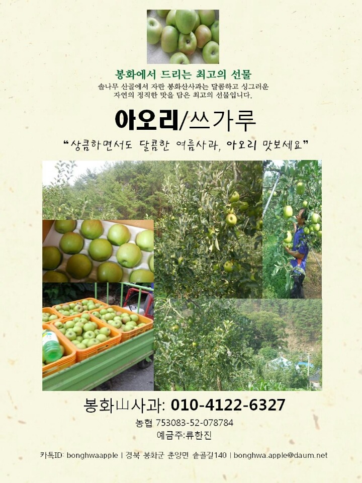 아오리 이미지