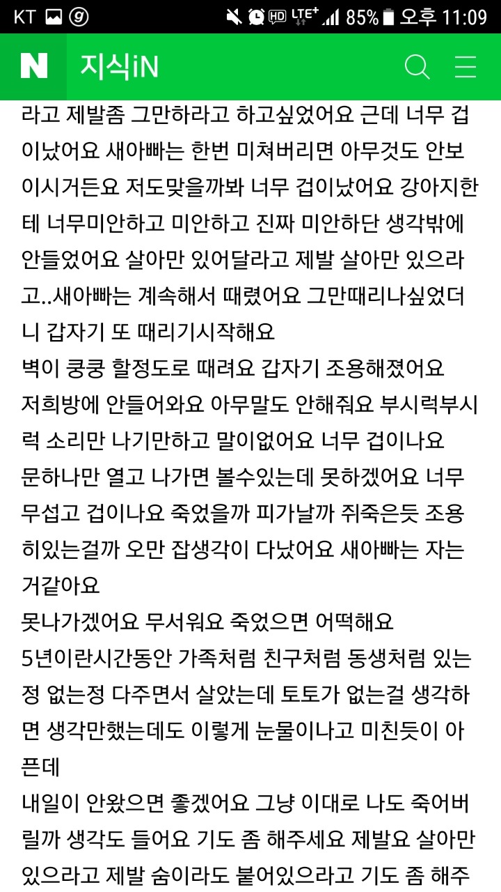 강아지가 새아빠한테 맞아 죽은거같아요 도와주세요 | 인스티즈