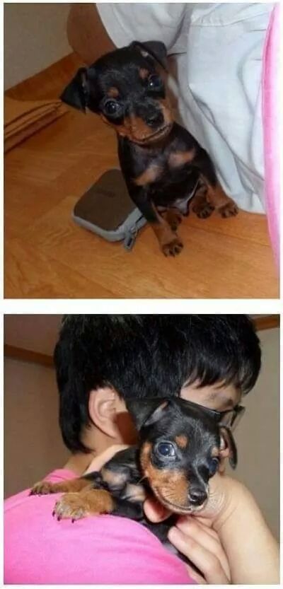 애지중지 이미지