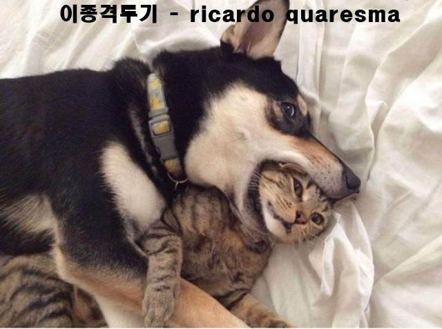 추억의 카트라이더 | 인스티즈