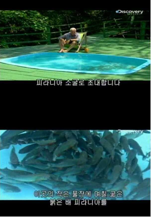 300만원 받고 1분 동안 들어가기 가능? 불가능? | 인스티즈