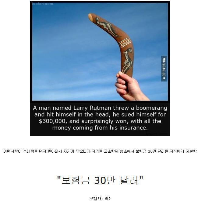 판사님 이 부메랑이 절 때렸습니다 | 인스티즈