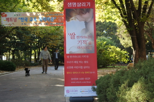 세종베트남 이미지