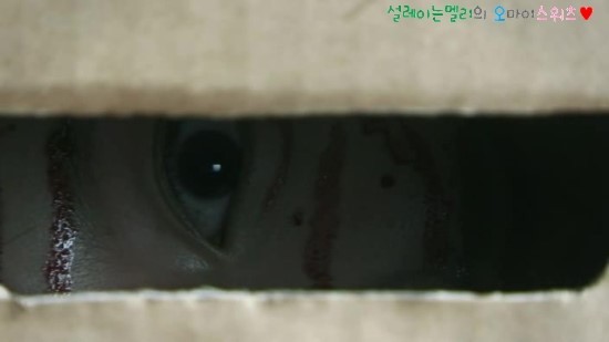 바람핀 남편의 최후.jpg | 인스티즈