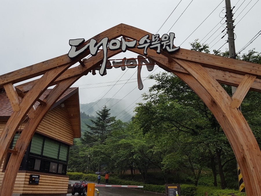 대아(주) 이미지