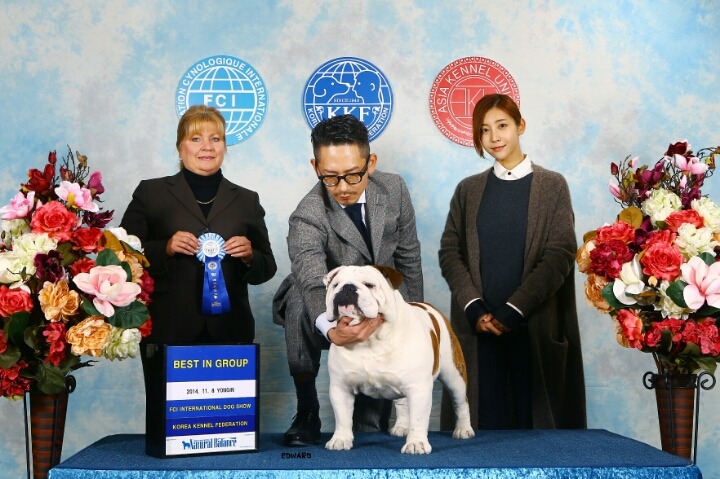 싹다이스2 이미지