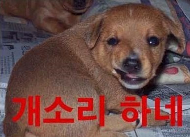 아 이미지