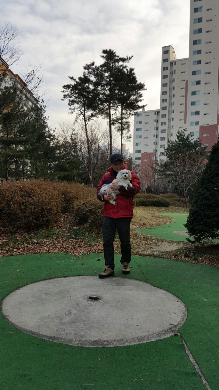 알리에 이미지