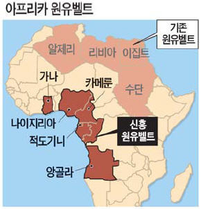 신흥석유 이미지