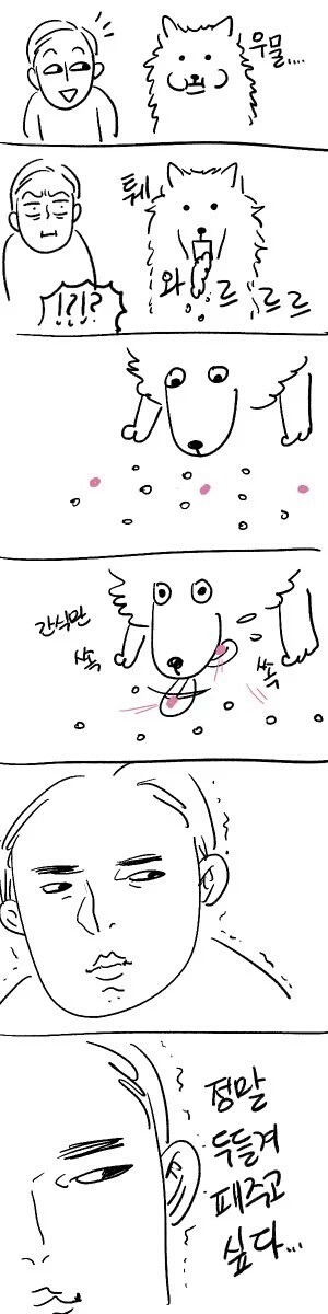 강아지 키우는 사람들 .jpg | 인스티즈