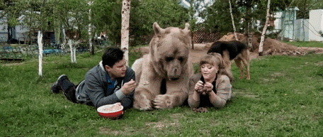 불곰국의 반려동물.jpgif | 인스티즈