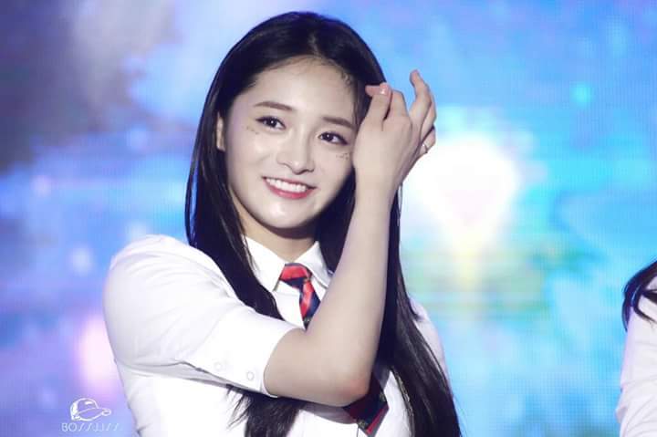 비비웍스 이미지