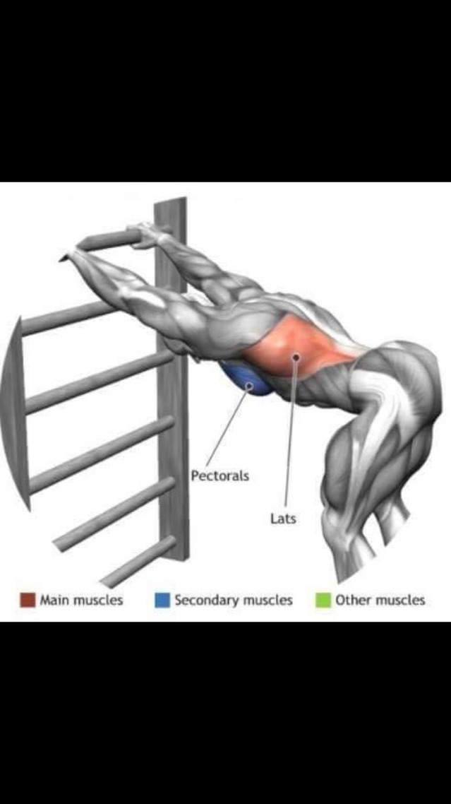스트레칭간 근육 이완 부위 | 인스티즈