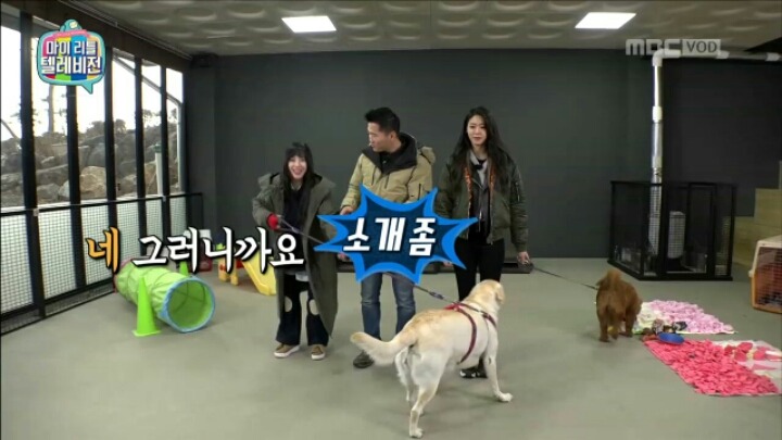 [마리텔] 조련당하는 민아 | 인스티즈