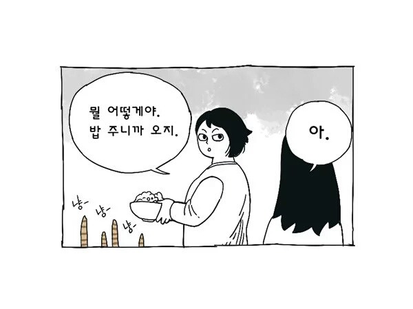 고양이 여덟마리와 사는만화 | 인스티즈