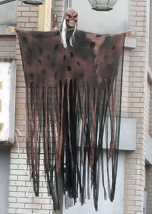 합천이벤트 이미지
