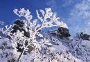 더블클릭을 하시면 이미지를 수정할 수 있습니다