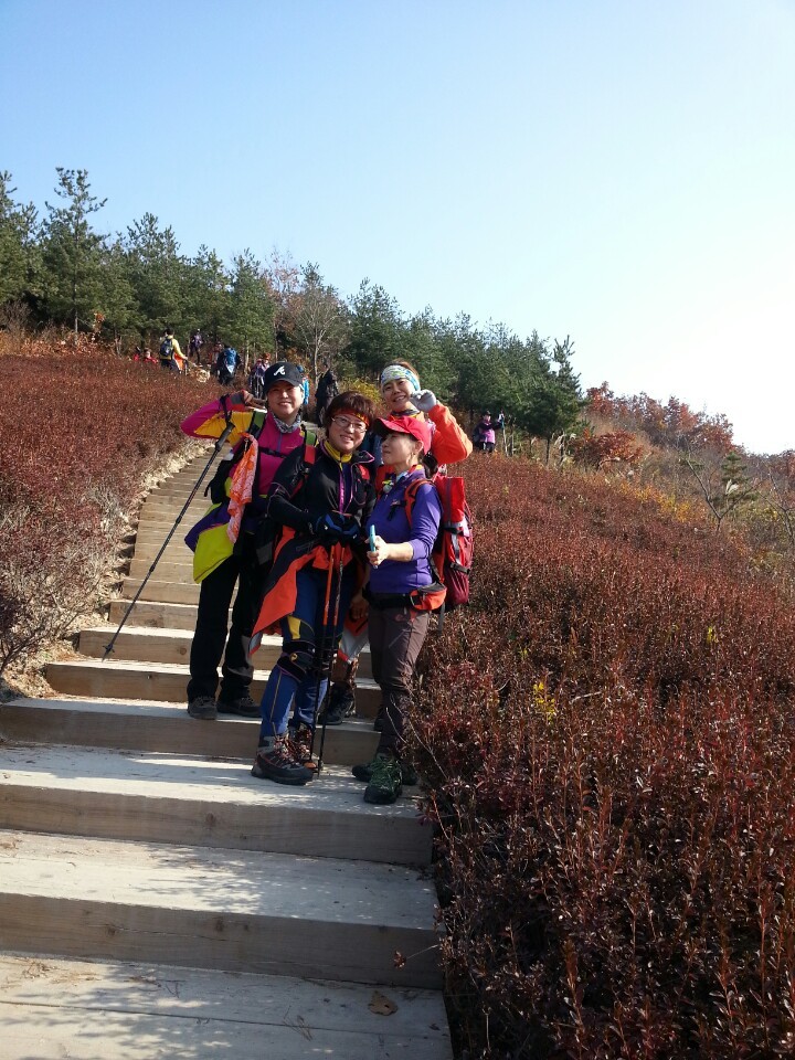 클랙잭등산복 이미지