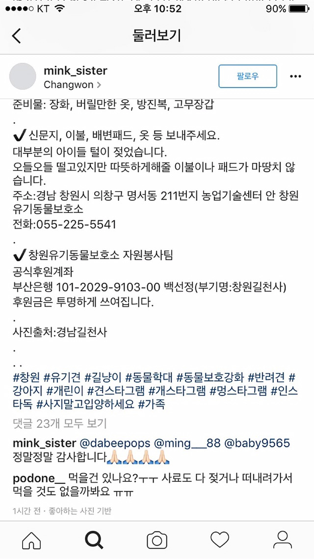 창원 유기견센터 물난리때메 멍멍이들 죽어가고있대 ㅜㅜ | 인스티즈