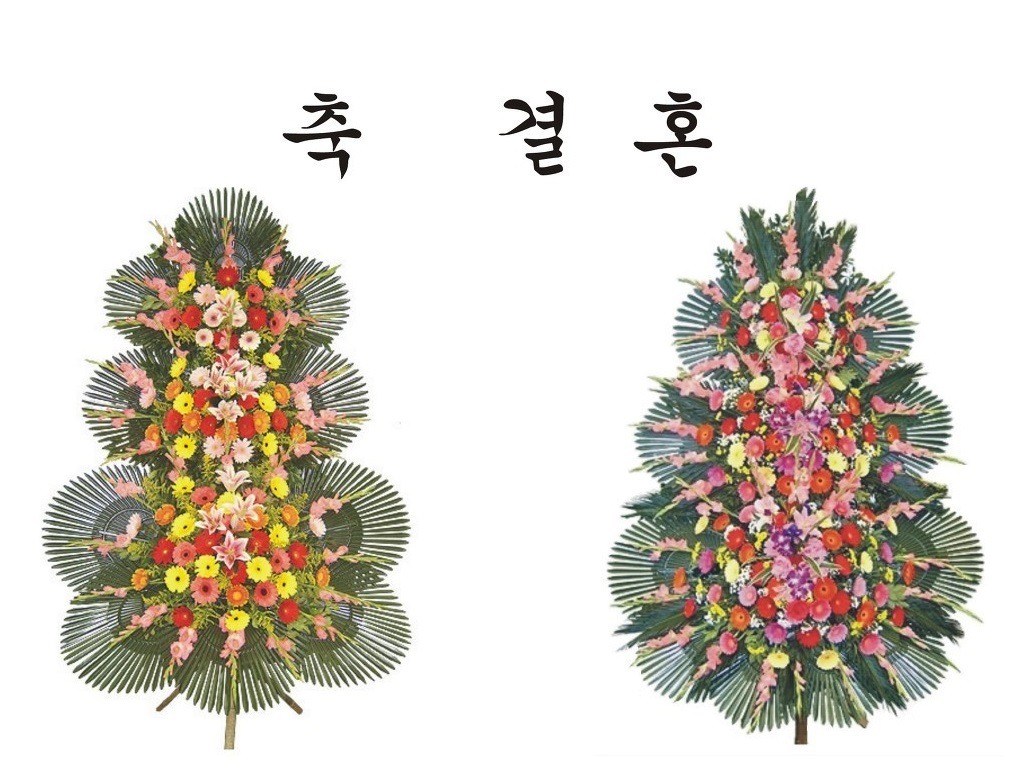 대덕화 이미지