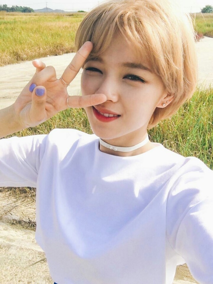 2017 첫 트와이스 정연 | 인스티즈
