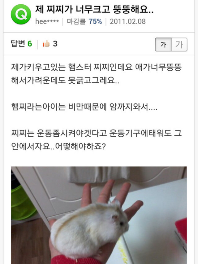 제 찌찌가 너무 크고 뚱뚱해요ㅠㅠ | 인스티즈