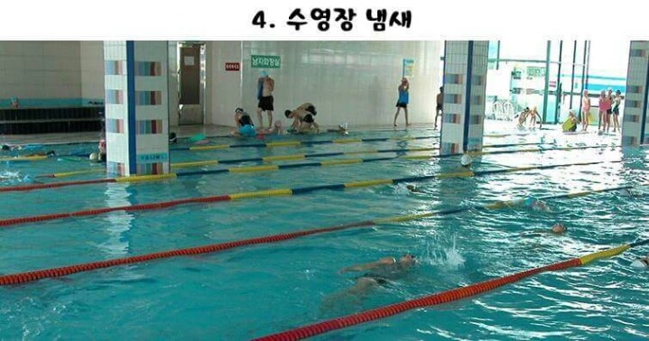 은근 좋아하는사람이 많은 냄새.jpg | 인스티즈