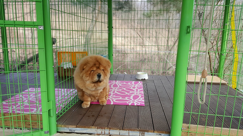 이하우스 이미지