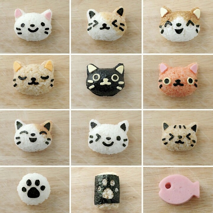 고양이 주먹밥 | 인스티즈