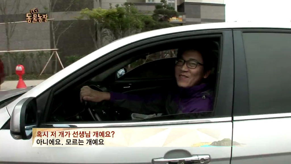 [동물농장] 106동 주민들이 키우는 강아지 | 인스티즈