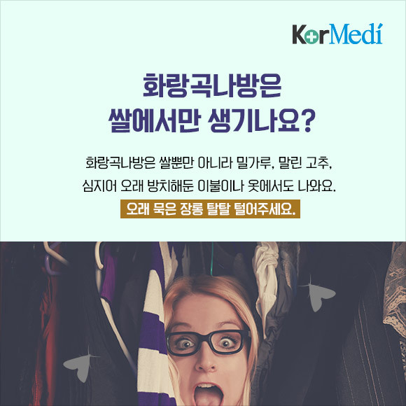 해충에 대한 오해와 진실(feat.바퀴)_약혐주의 | 인스티즈