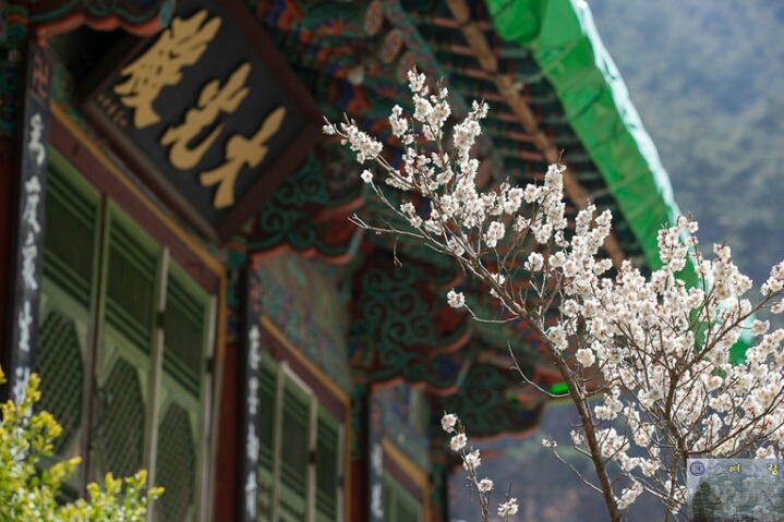 수정사 이미지