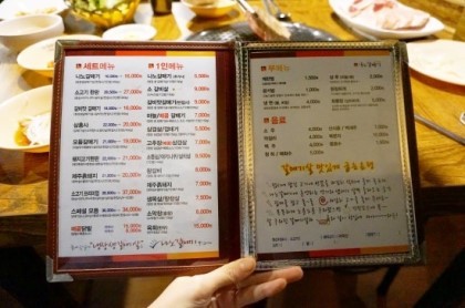 나노갈매기 이미지