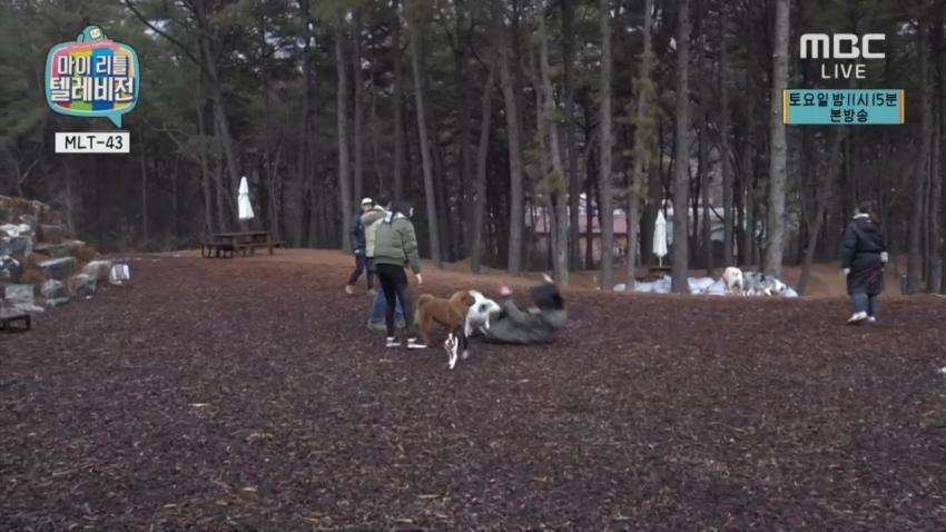 [마리텔] 개가 aoa 민아에게 몸통 박치기 2탄 | 인스티즈
