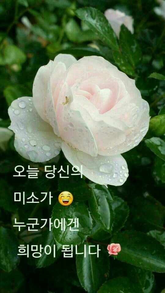 만남 이미지
