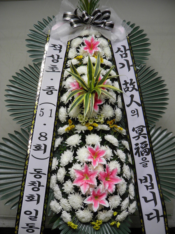 박연순 이미지