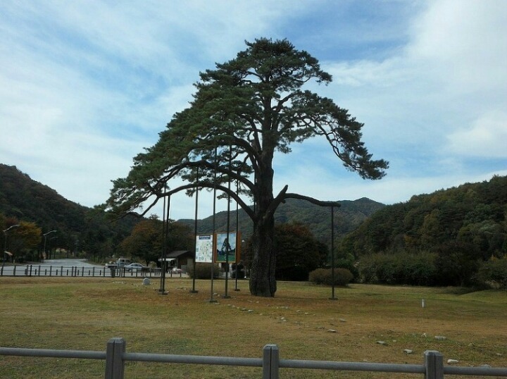 (유)한마음고속관광 이미지